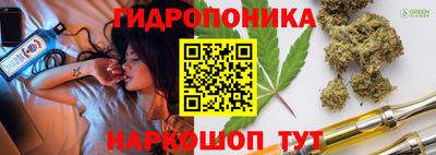 соль ск Вышний Волочёк