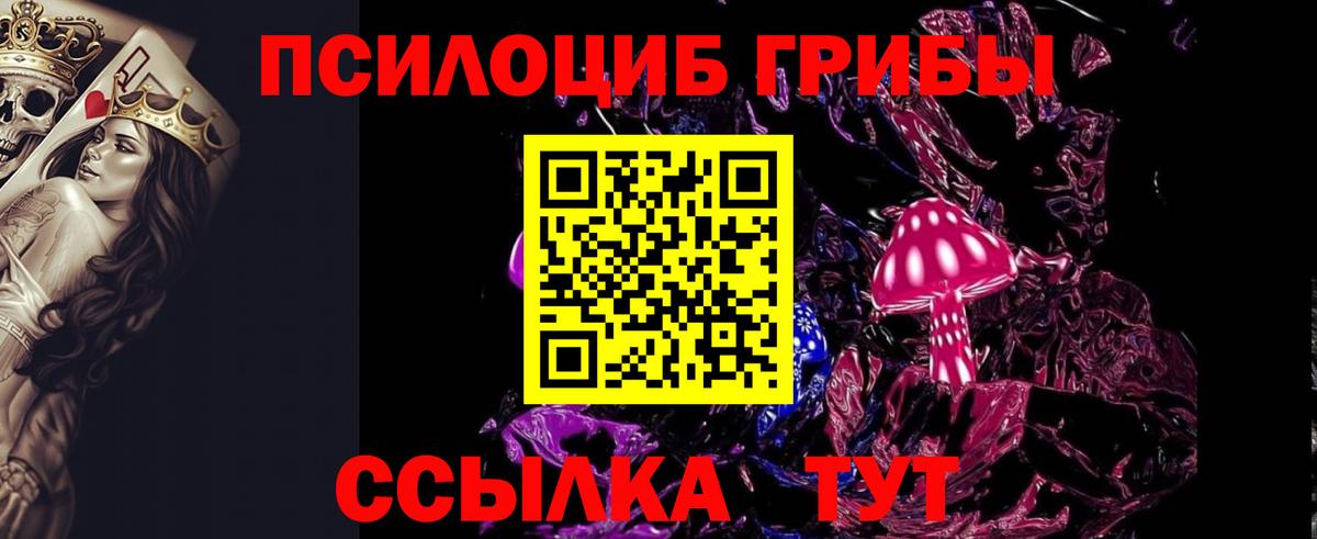 где купить наркоту  Псилоцибиновые грибы Cubensis  Вход с VPN  Липецк 