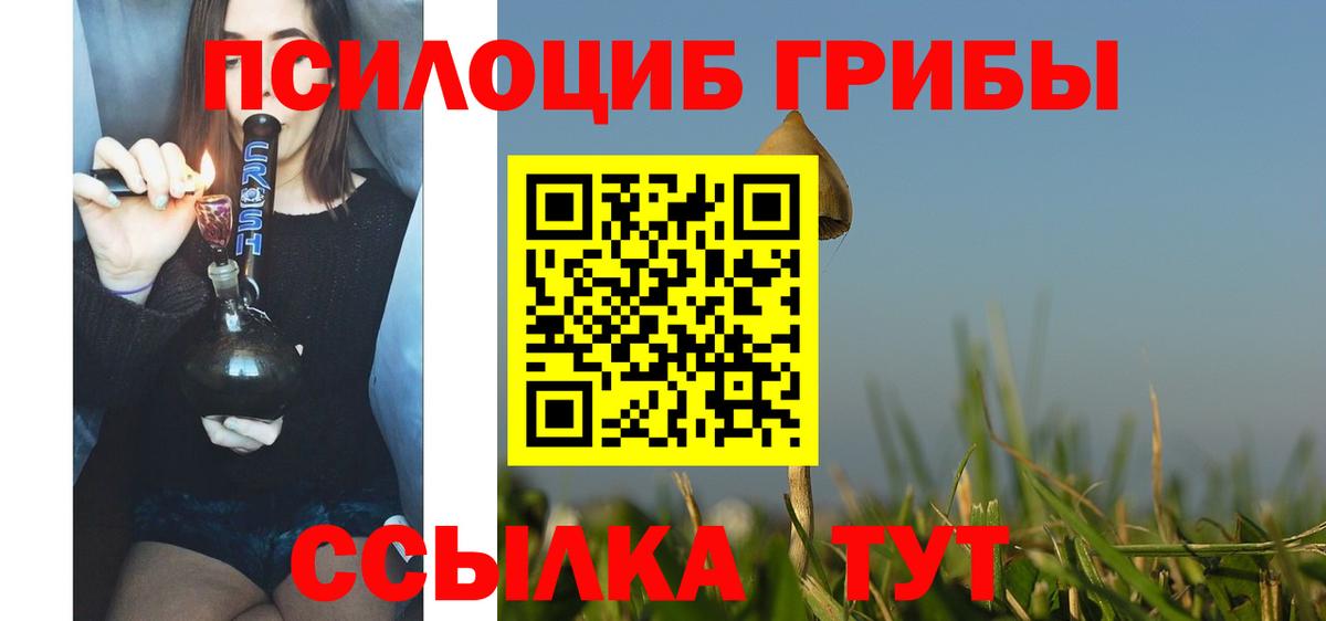 Галлюциногенные грибы Psilocybe Липецк